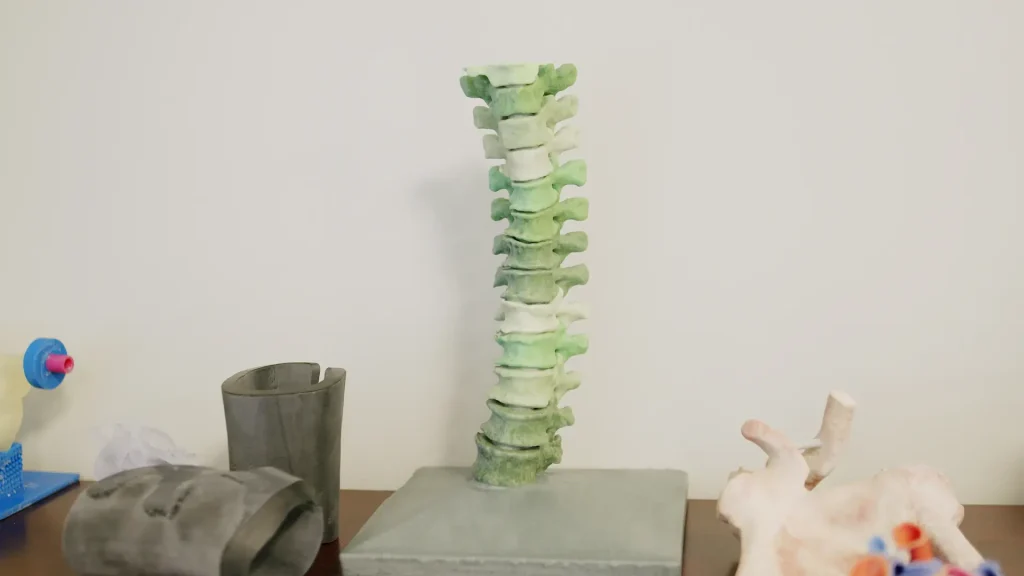 Colorful 3D-printed anatomical models of a spine and bone structures on a table