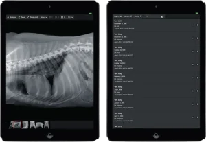 Vetsmart imaging software showing a study worklist and canine chest radiograph displayed on paired tablet screens