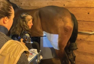 Veterinarians using a portable X-ray unit to image a horse in a stable
